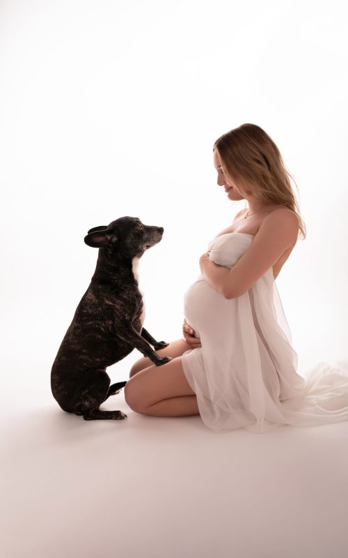Babybauchshooting mit Hund