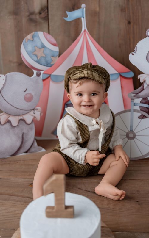 Cakesamsh Zirkus